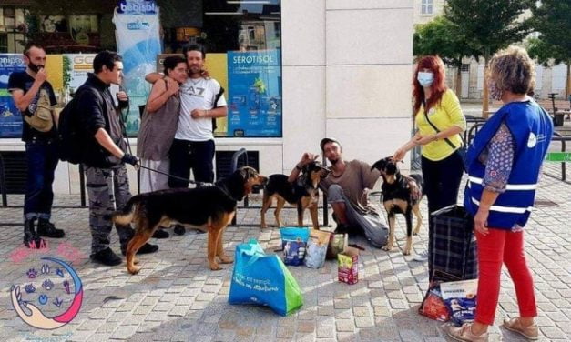 Une canibox solidaire distribuée le 16 décembre à Niort