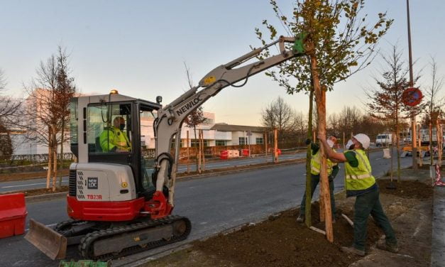 L’avenue Salvador Allende à Niort va changer de couleur