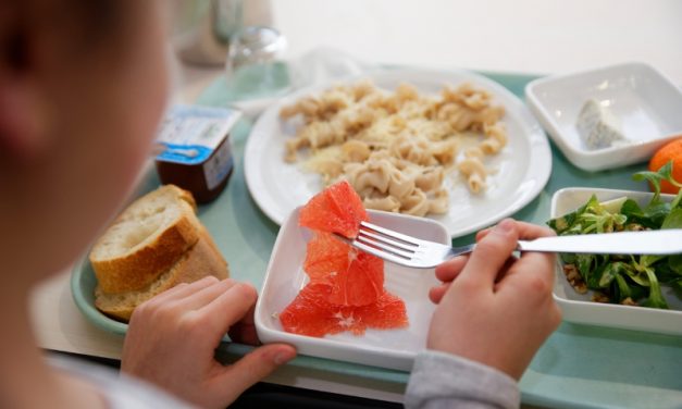 Que pensez-vous des repas à la cantine à Niort ?