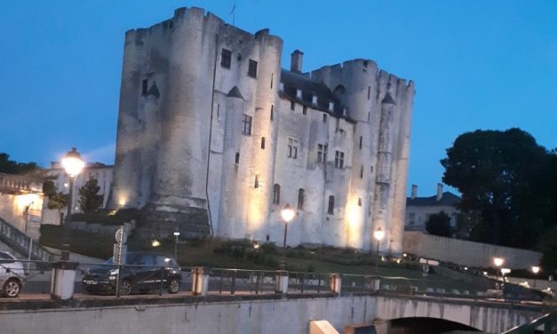 Niort : la projection place du Donjon du samedi 22 avril annulée