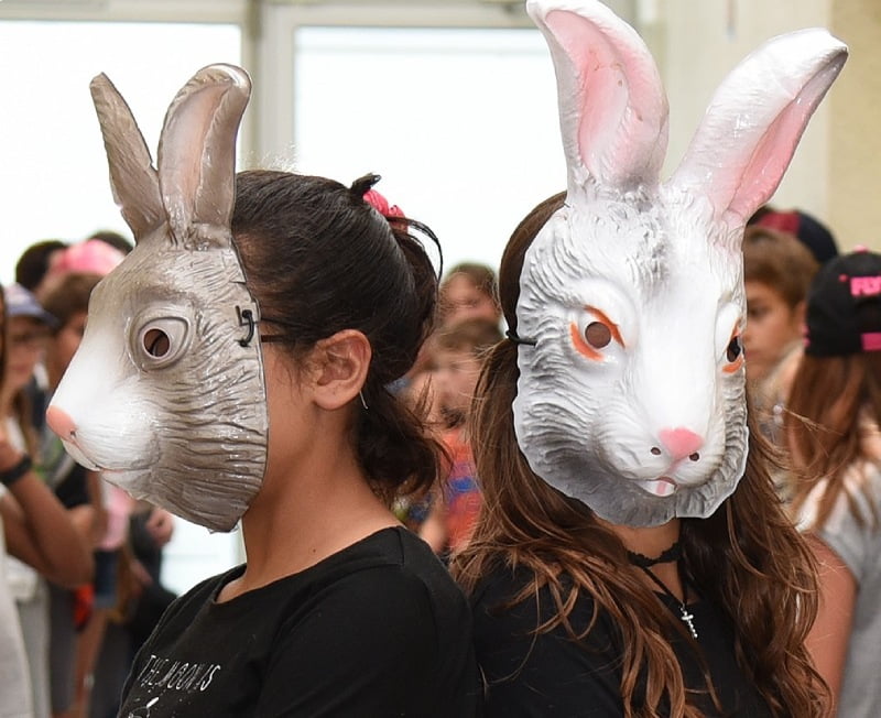 les artistes dans les collèges