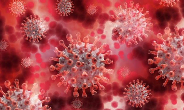 Déjà 107 décès à l’hôpital liés au coronavirus dans les Deux-Sèvres