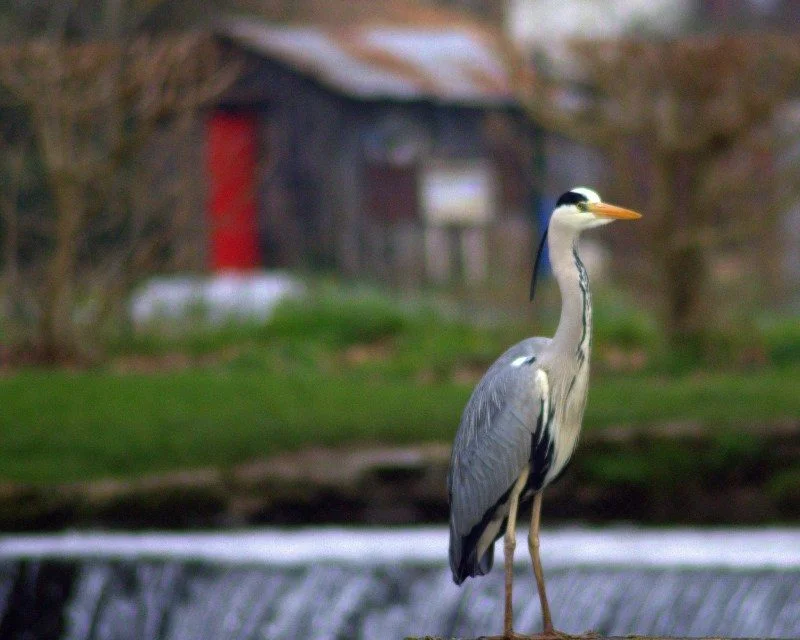 Les jeunes néo-aquitains invités à immortaliser leur nature