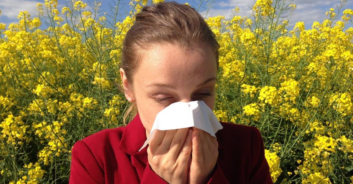 Alerte allergies : de forts indices polliniques
