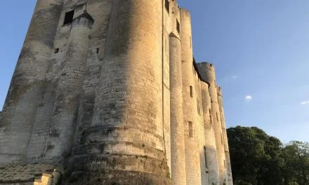 Le Donjon de Niort propose un plat du jour spécial