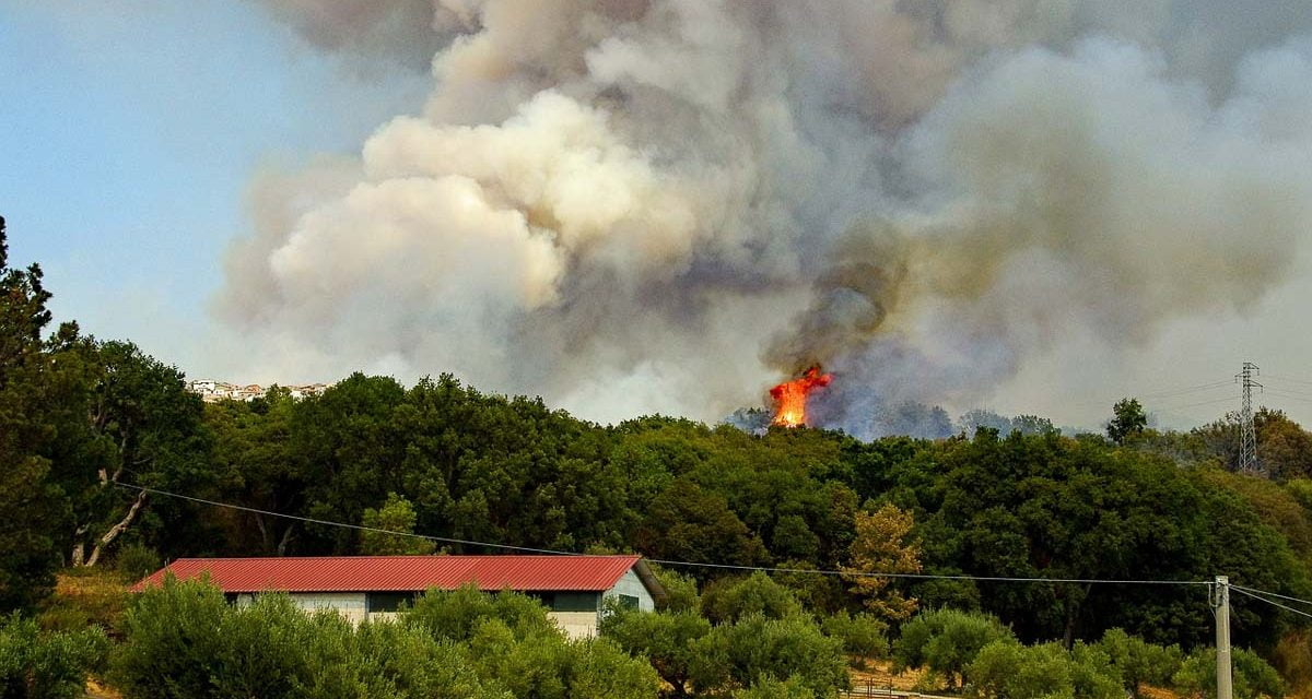 Les Deux-Sèvres placées en vigilance incendies