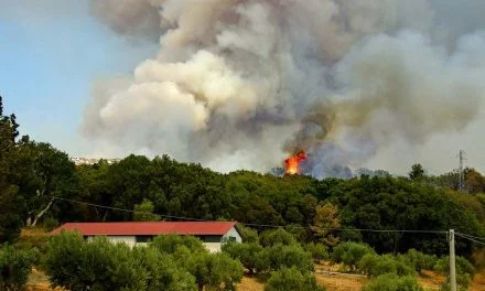 Les Deux-Sèvres placées en vigilance incendies