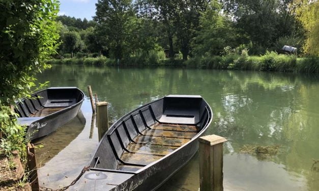 Municipales 2026. Deux associations environnementales interrogent les têtes de listes en Deux-Sèvres