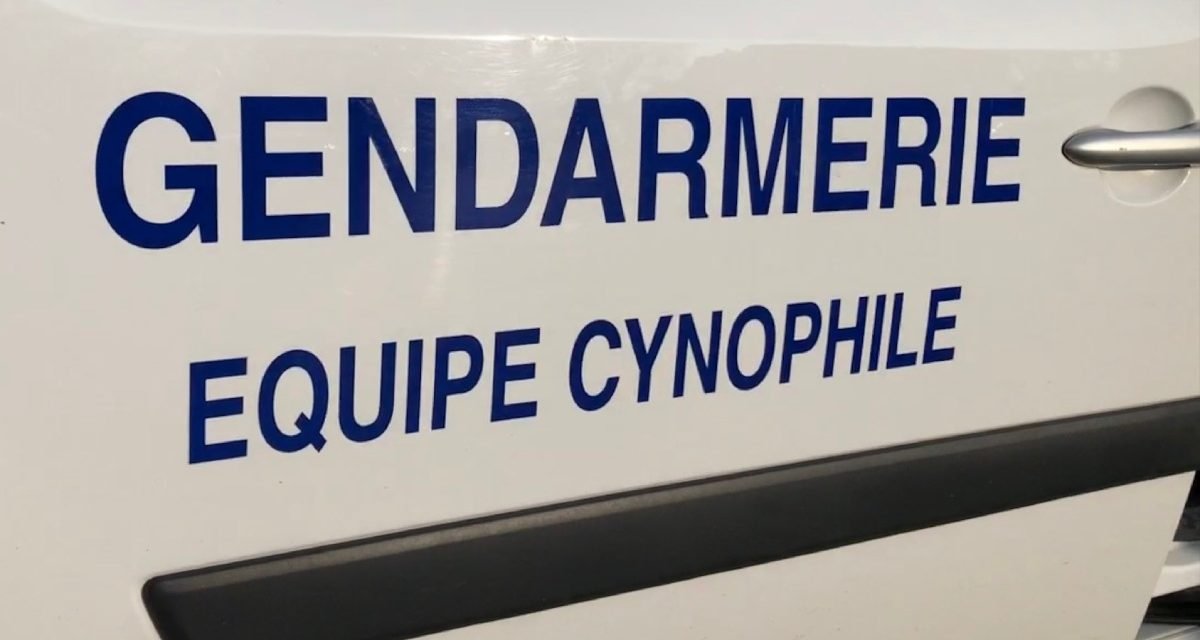 Un trafic de stupéfiants démantelé dans les Deux-Sèvres