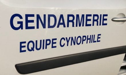Un trafic de stupéfiants démantelé dans les Deux-Sèvres