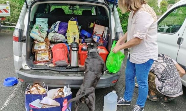 Un Noël pour les animaux de SDF de Niort