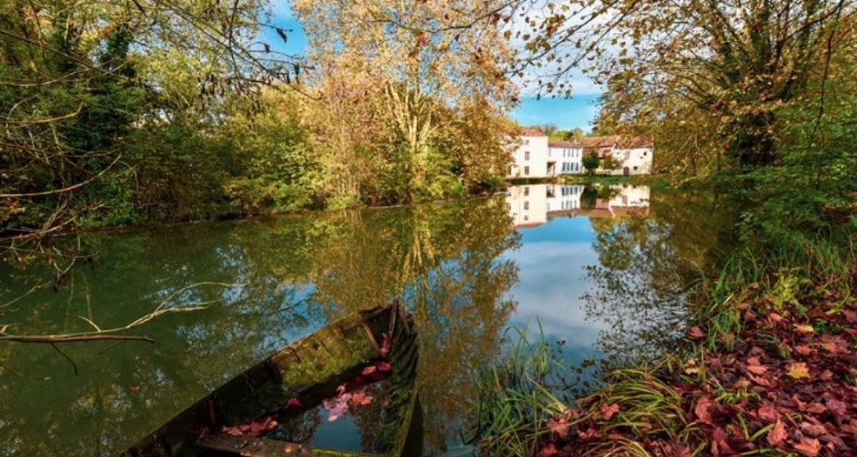 Une réserve naturelle en cours de création à Niort