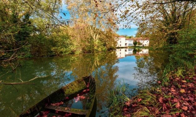 Une réserve naturelle en cours de création à Niort