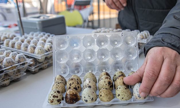 Vente directe et lutte contre le gaspillage alimentaire : quelles subventions départementales