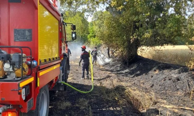 Canicule : pas de répit pour les sapeurs pompiers