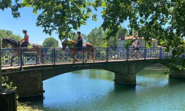 Une belle balade à faire ce dimanche 12 juin dans le Marais Poitevin