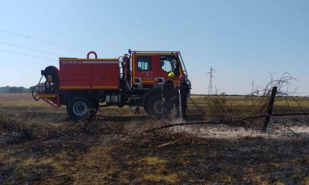 Forêts : des interdictions d’activités décidées