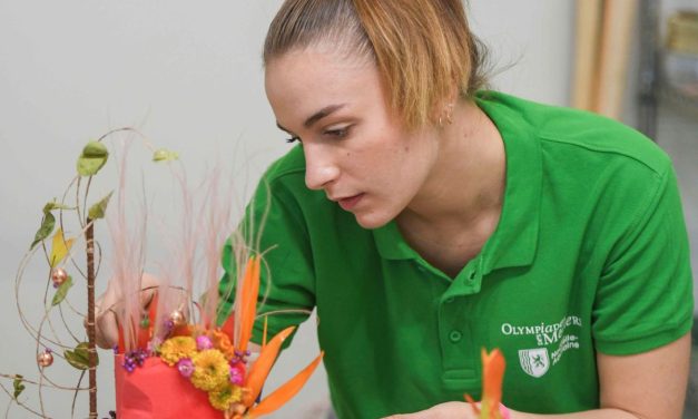 Olympiades des Métiers : cinq jeunes Deux-Sévriens primés