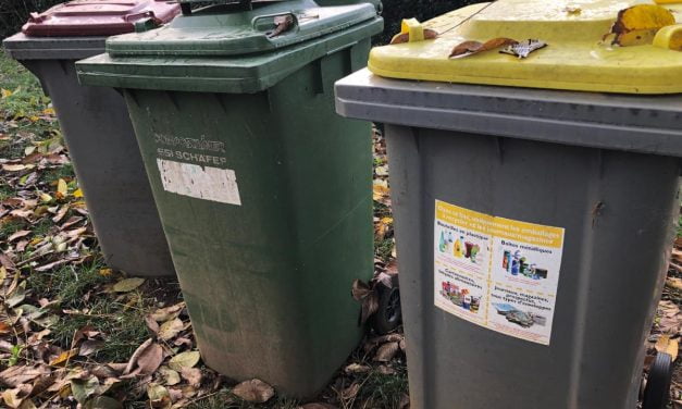 Déchets verts : ce qui change dès ce 1er décembre à Niort et Chauray