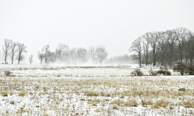 Deux-Sèvres : le plan Grand froid déclenché