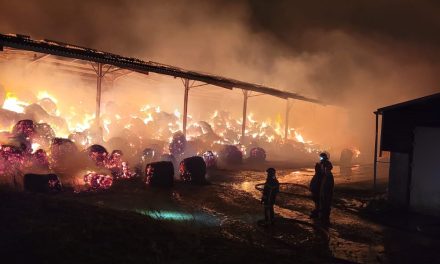 Les pompiers mobilisés pour un feu de bâtiment agricole dans le sud des Deux-Sèvres