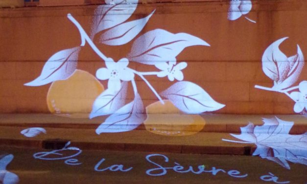 La Mothe-Saint-Héray se met en lumière