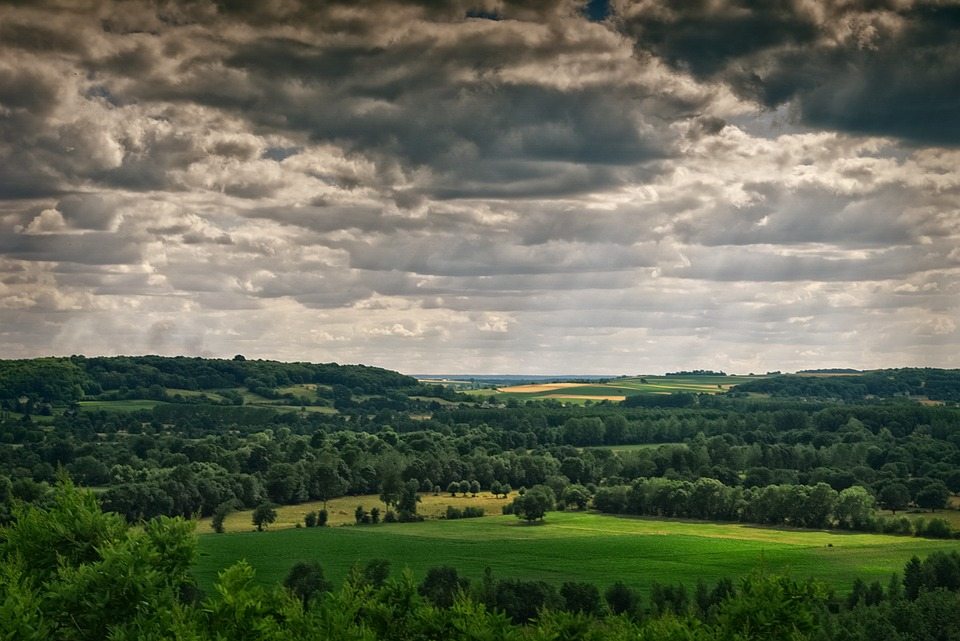 Deux-Sèvres : des fonds pour encourager la plantation de haies 