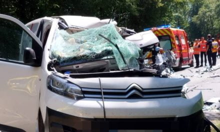 Deux-Sèvres : tué sur la route à cause d’un insecte dans sa voiture