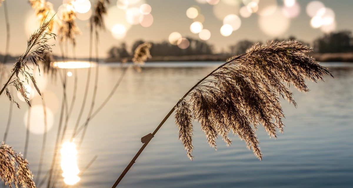 Poitou-Charentes Nature lance un état des lieux des rivières