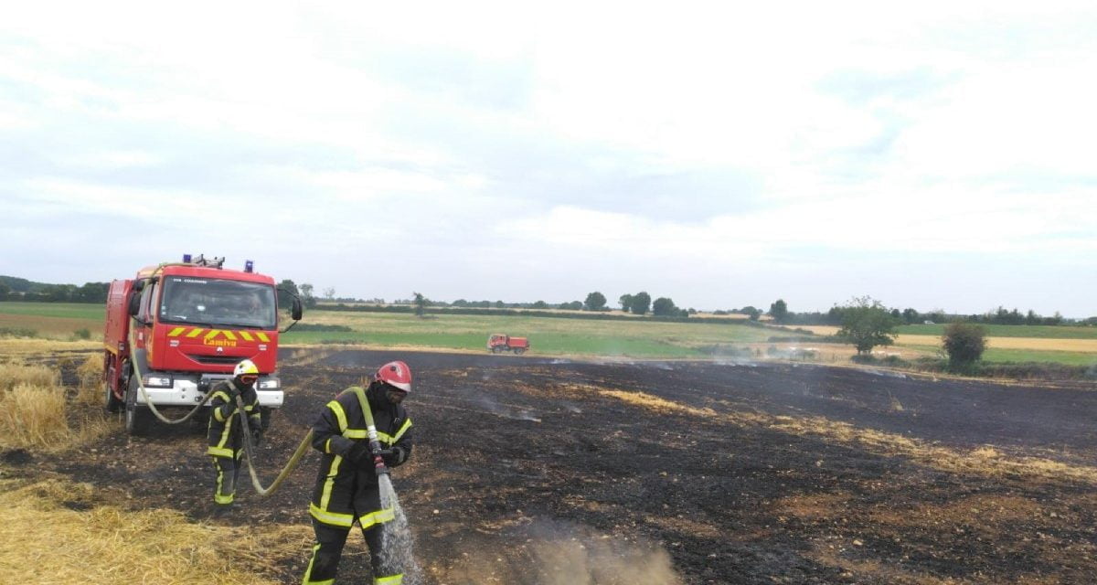 Un hectare d’orge détruit par un incendie près de Niort