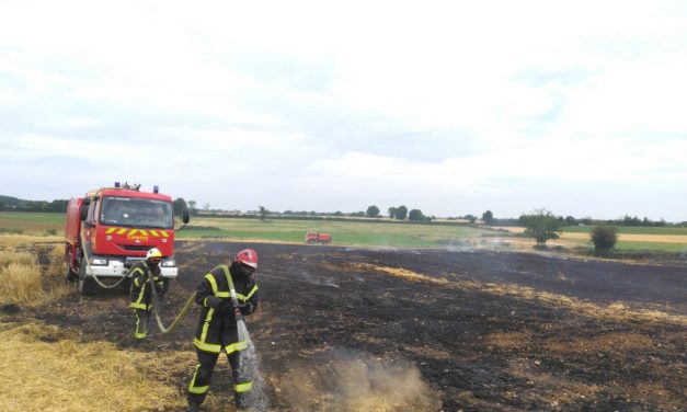 Un hectare d’orge détruit par un incendie près de Niort