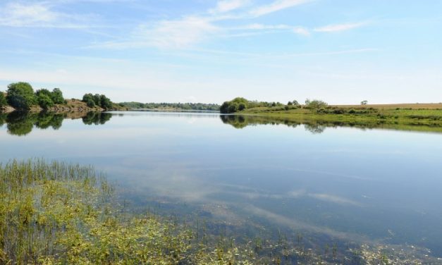 Des bactéries potentiellement mortelles dans le lac du Cébron