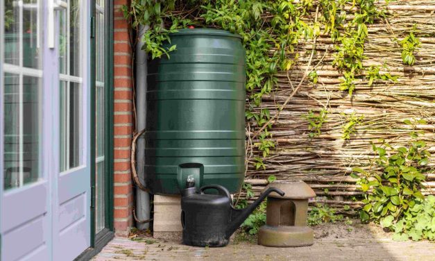 Niortais : des aides pour acheter des récupérateurs d’eau