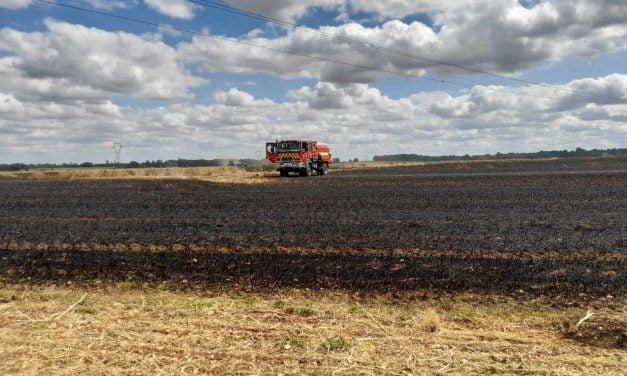 Deux-Sèvres : huit hectares de lin détruits par un incendie