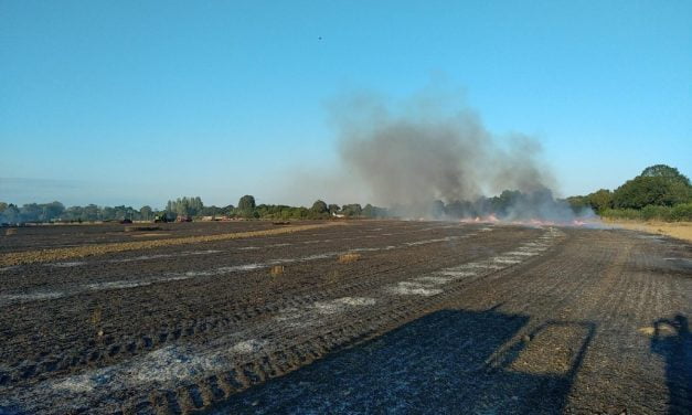 Deux-Sèvres : dix hectares de culture partent en fumée