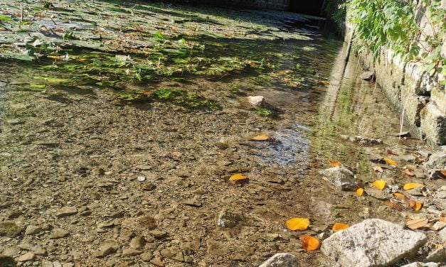 Quel temps fera-t-il à Niort ce vendredi 1er septembre ?