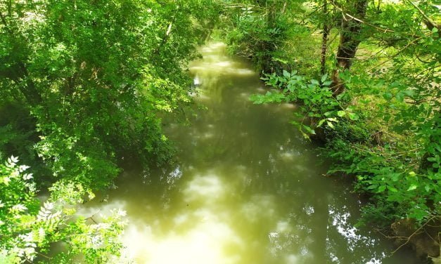 Quel temps fera-t-il à Niort ce jeudi 14 septembre ?