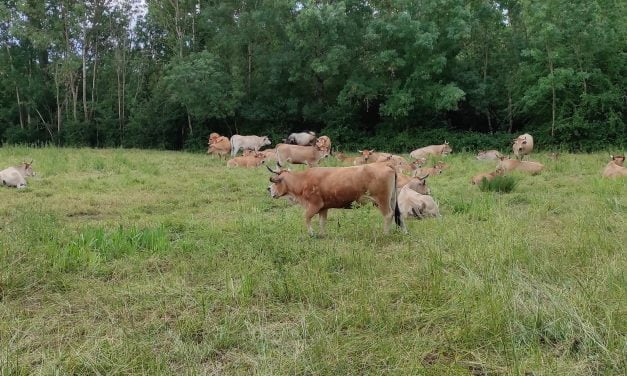 Quel temps fera-t-il à Niort ce vendredi 15 septembre ?