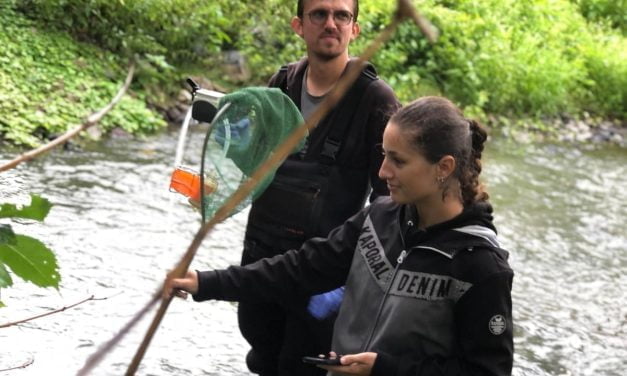 Deux-Sèvres : un été propice à la pêche à l’ADN des mulettes