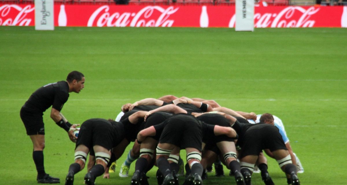 Coupe du monde de rugby : un écran géant à Niort pour France Nouvelle Zélande