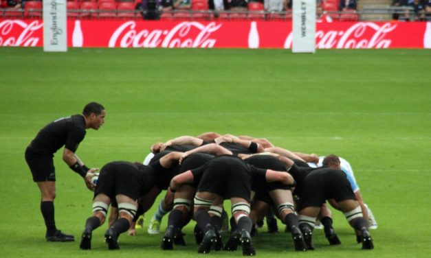 Coupe du monde de rugby : un écran géant à Niort pour France Nouvelle Zélande