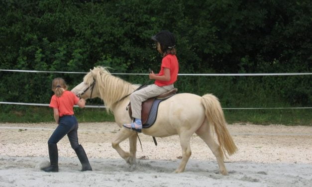 Des baptêmes de poney offerts à Sansais