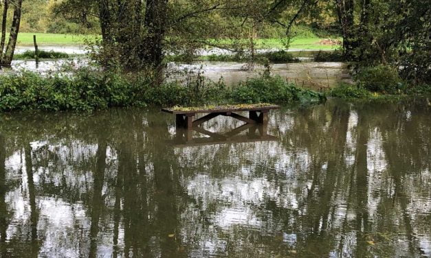 Coulées de boue : un arrêté de catastrophe naturelle signé pour des communes des Deux-Sèvres