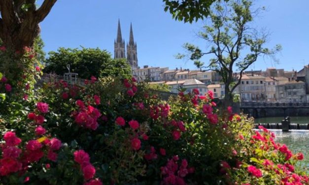 Une ville de Niort plus verte et fleurie dans l’avenir ?