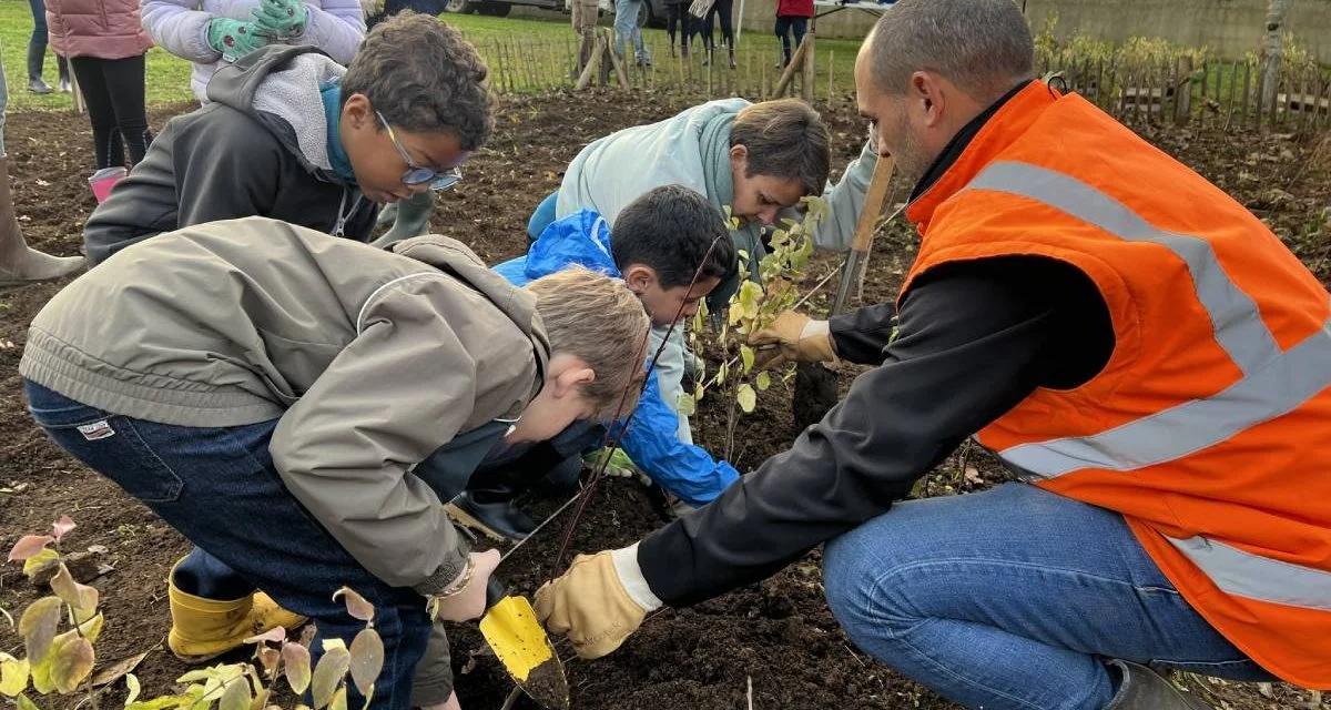 Une micro-forêt plantée à Chauray