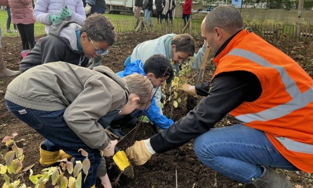 Une micro-forêt plantée à Chauray