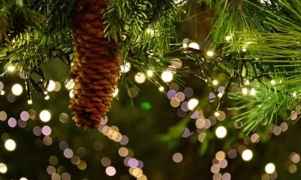 Un marché de Noël à Vouillé