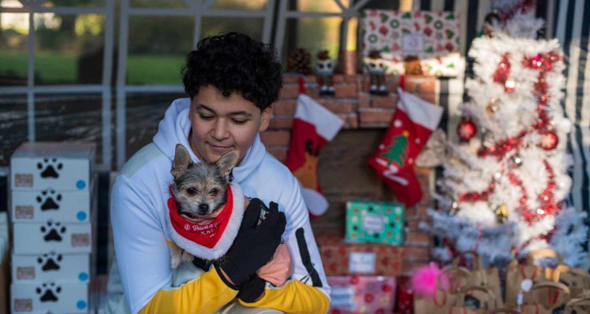 A Niort, chiens et chats auront aussi leur cadeau de Noël