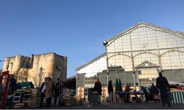 Une collecte alimentaire sous les Halles de Niort