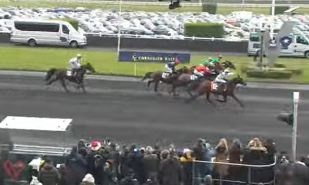 Une jument championne du monde malgré un accident sur l’A10 près de Niort